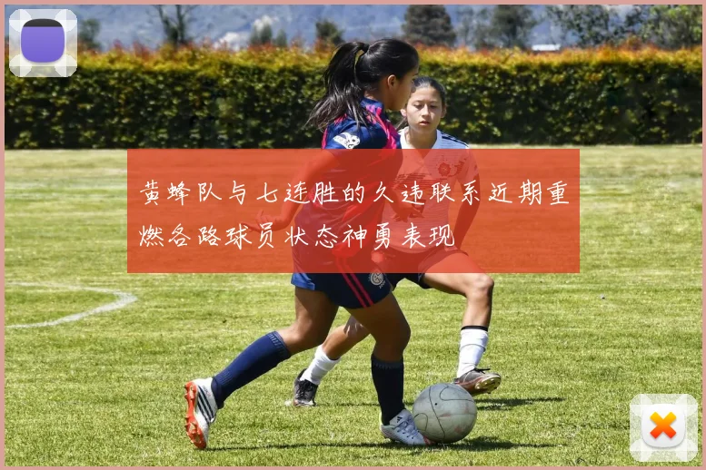 黄蜂队与七连胜的久违联系近期重燃各路球员状态神勇表现