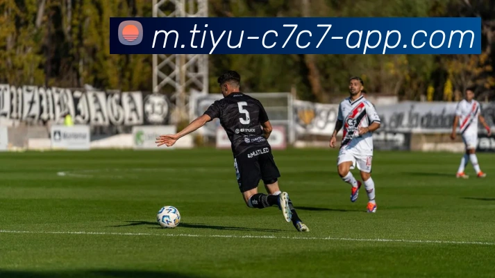 C7C7娱乐服务体系